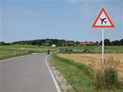 Eine Landstraße