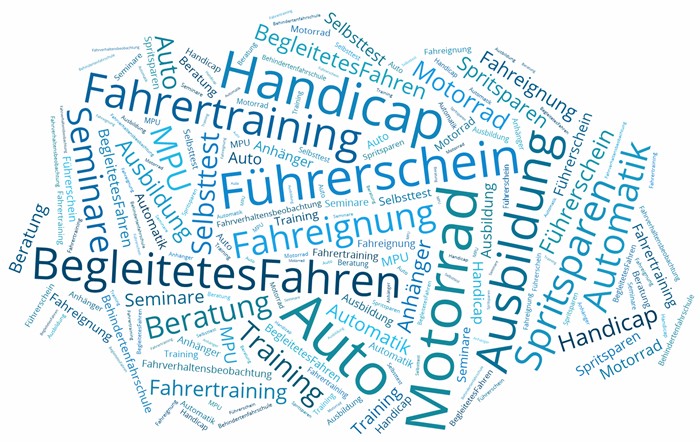 Auto, Motorrad, Handicap, Führerschein, Ausbildung, Begleitetes Fahren ab 17, Fahrertraining, Anhänger, Spritsparen, 
				Automatik, Fahreignungs-Seminare, Aufbau-Seminare, Fahrverhaltensbeobachtung, MPU Beratung, Training 65+, Selbsttest